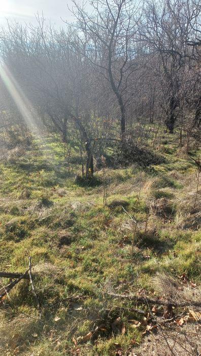 Парцел, за продажба, м-т Планова