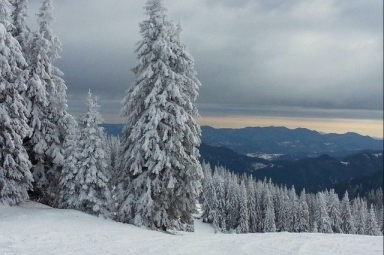 За продажба в Пловдив парцел  Извън Пловдив ID 85401